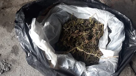 Zaqatalada evində narkotik gizlədən keçmiş məhkum saxlanılıb