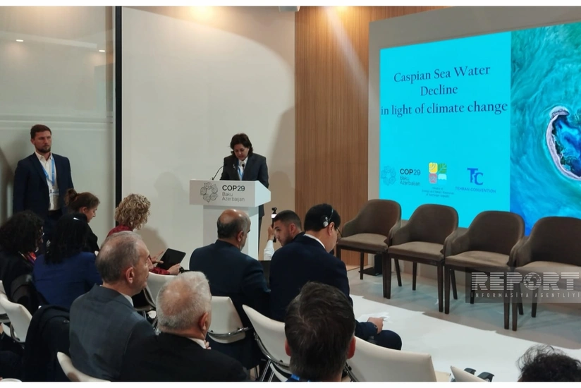 COP29 çərçivəsində Xəzər dənizinin ekoloji vəziyyəti müzakirə olunub