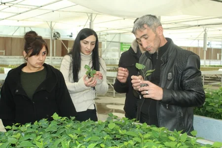 Azərbaycanda toxumçuluq, şitilçilik və tingçilik üzrə mütəxəssislər hazırlanacaq