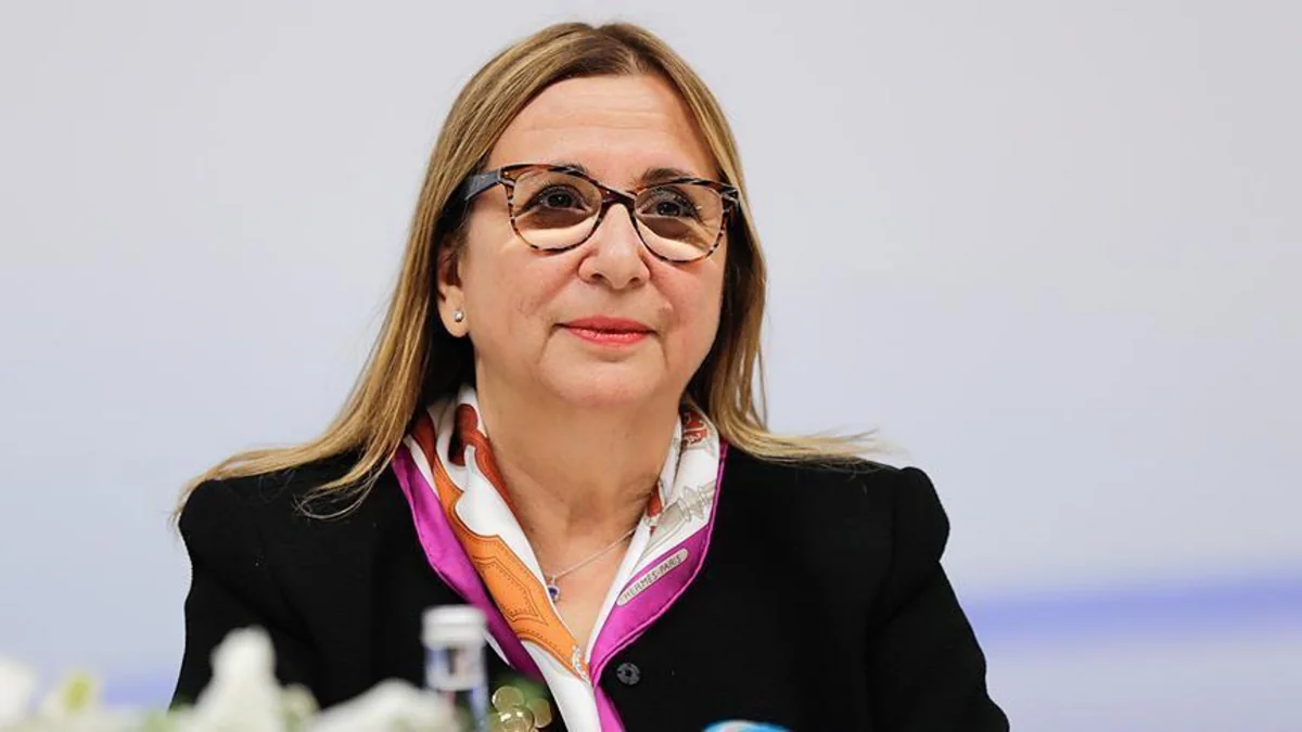 Турецкий министр раскритиковала решение США лишить Анкару торговых льгот