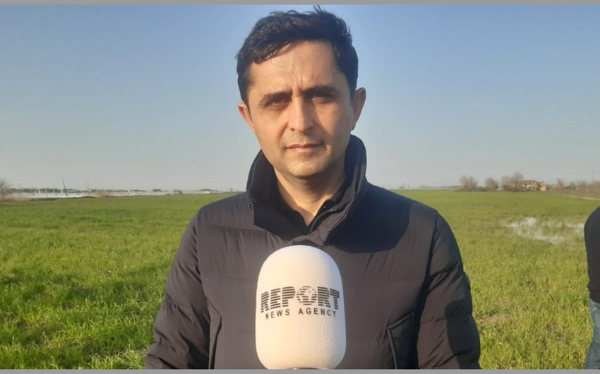 Aqrar Sığorta Fondunun sədri: Əkin sahələri məhv olmuş fermerlərə dəyən ziyan bir halda qarşılanacaq