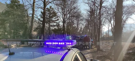 В Шеки автомобиль врезался в дерево, есть пострадавшие