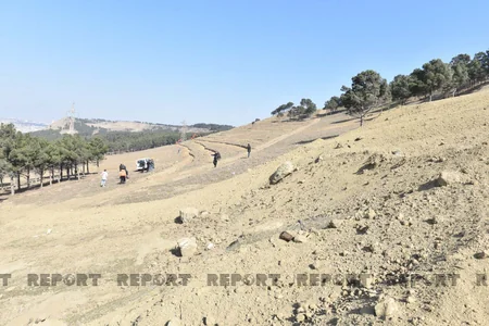 Mürəkkəb relyefli, sərt yamaclı ərazilərdə ağac əkininə başlanılıb