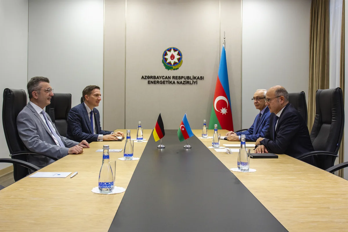Azərbaycan Almaniya şirkətlərini bərpa olunan enerji layihələrində iştiraka dəvət edib