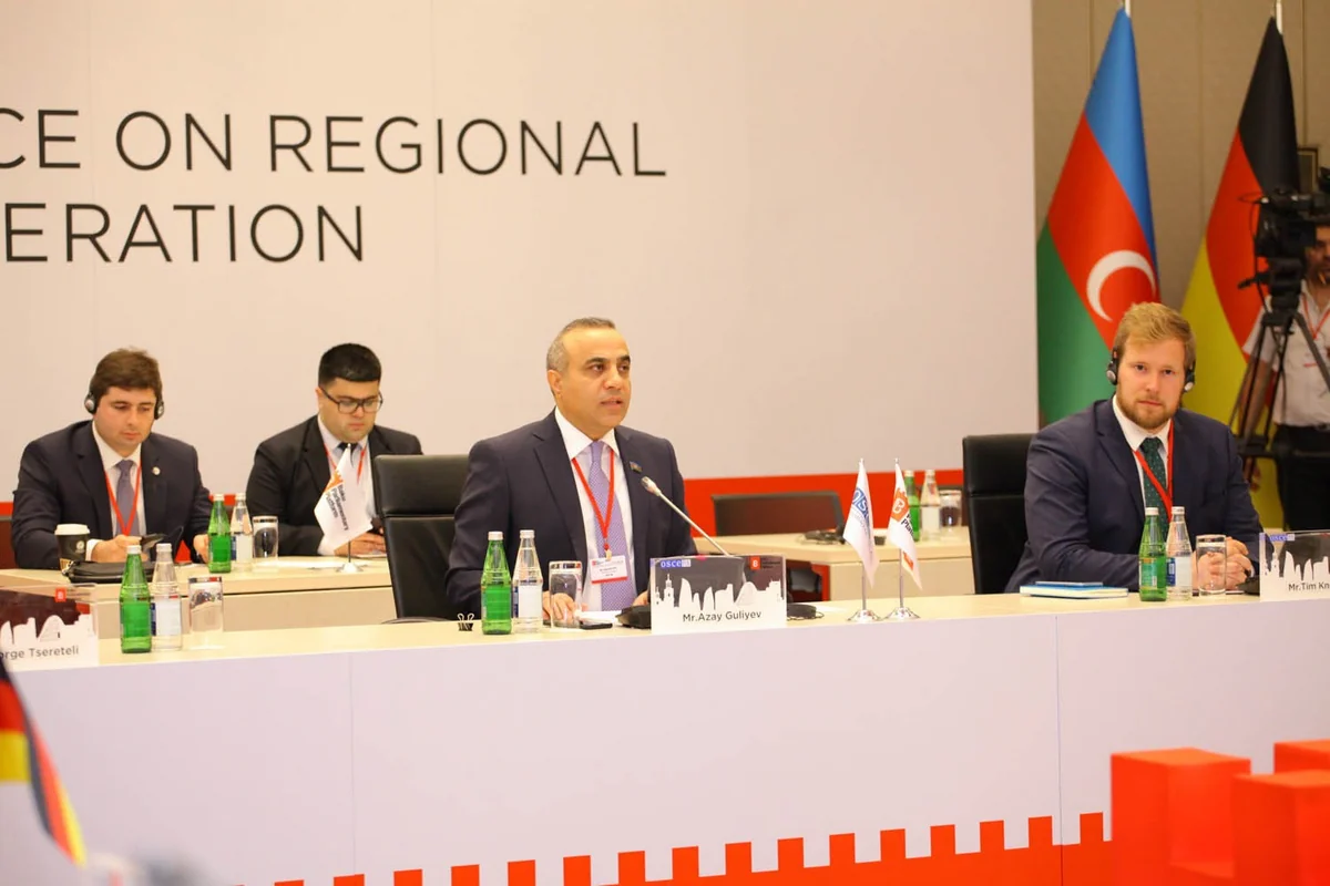 Gürcüstanın Bakı Parlament Platformasında təmsil olunmamasının səbəbi açıqlanıb