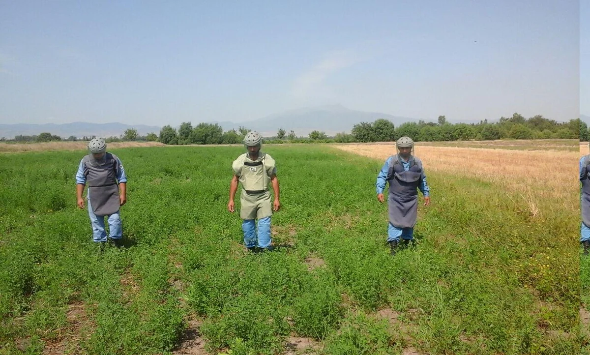 ​ANAMA: 15 ədəd piyada əleyhinə mina, 3 ədəd piyada əleyhinə mina zərərsizləşdirilib - FOTO
