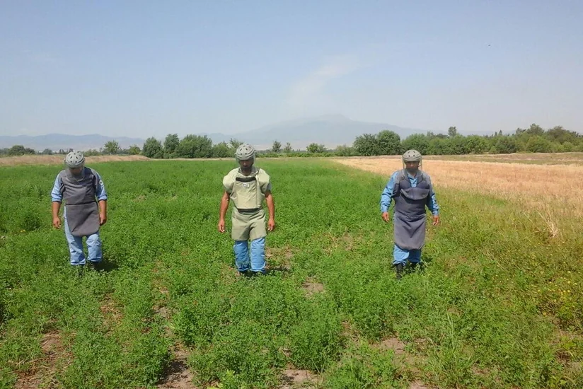 ​ANAMA: 15 ədəd piyada əleyhinə mina, 3 ədəd piyada əleyhinə mina zərərsizləşdirilib - FOTO
