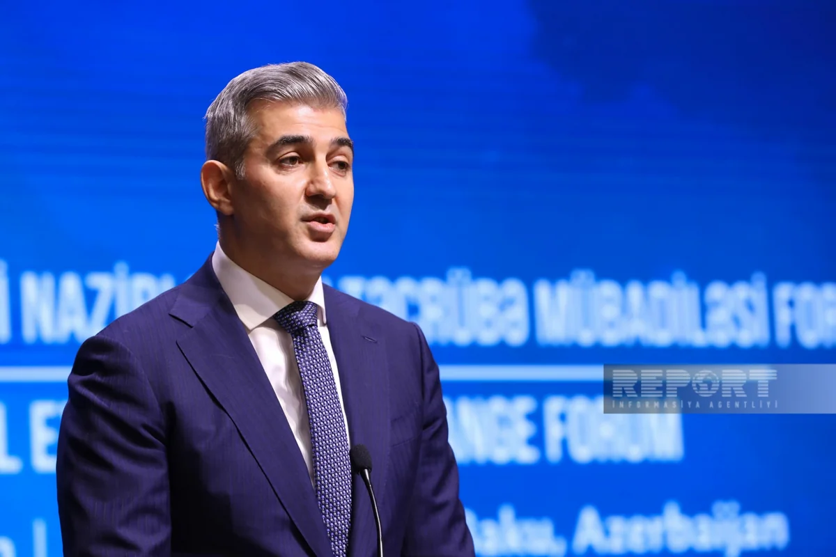 State service: Azerbaijan taking measures to facilitate visit of COP29 participants