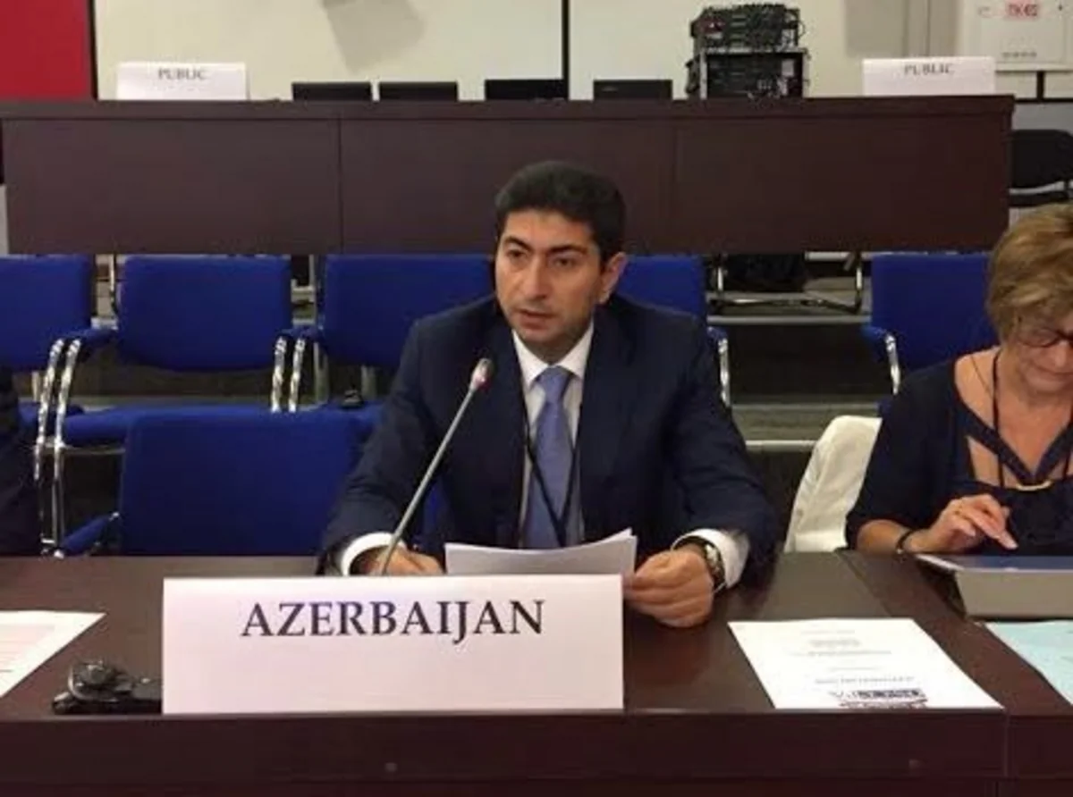 Milli Məclisin deputatı ATƏT PA-nın iclasında ermənilərin təxribatından danışıb
