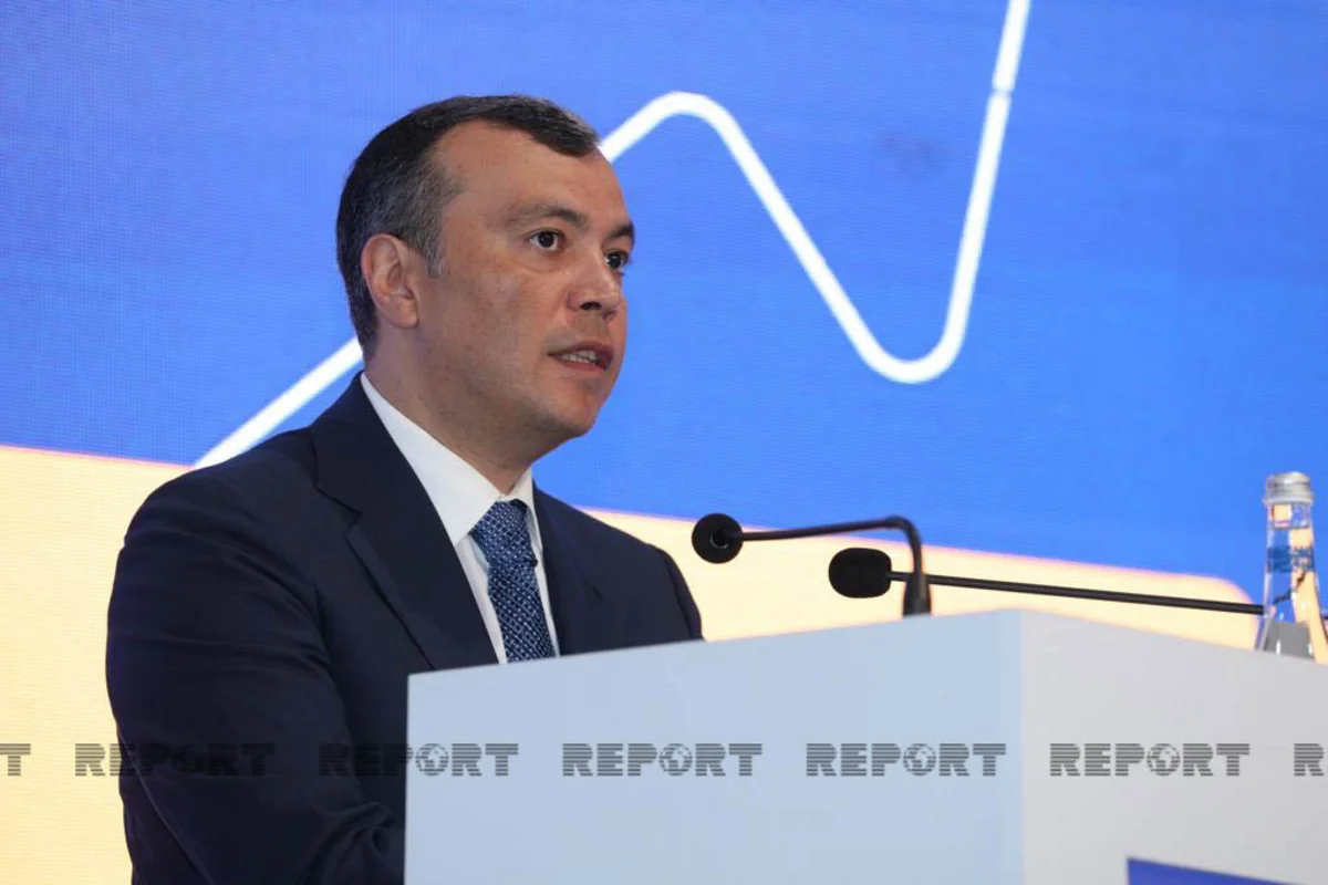 Nazir I Qarabağ müharibəsi əlillərinə verilən birdəfəlik ödəmələrdən danışıb