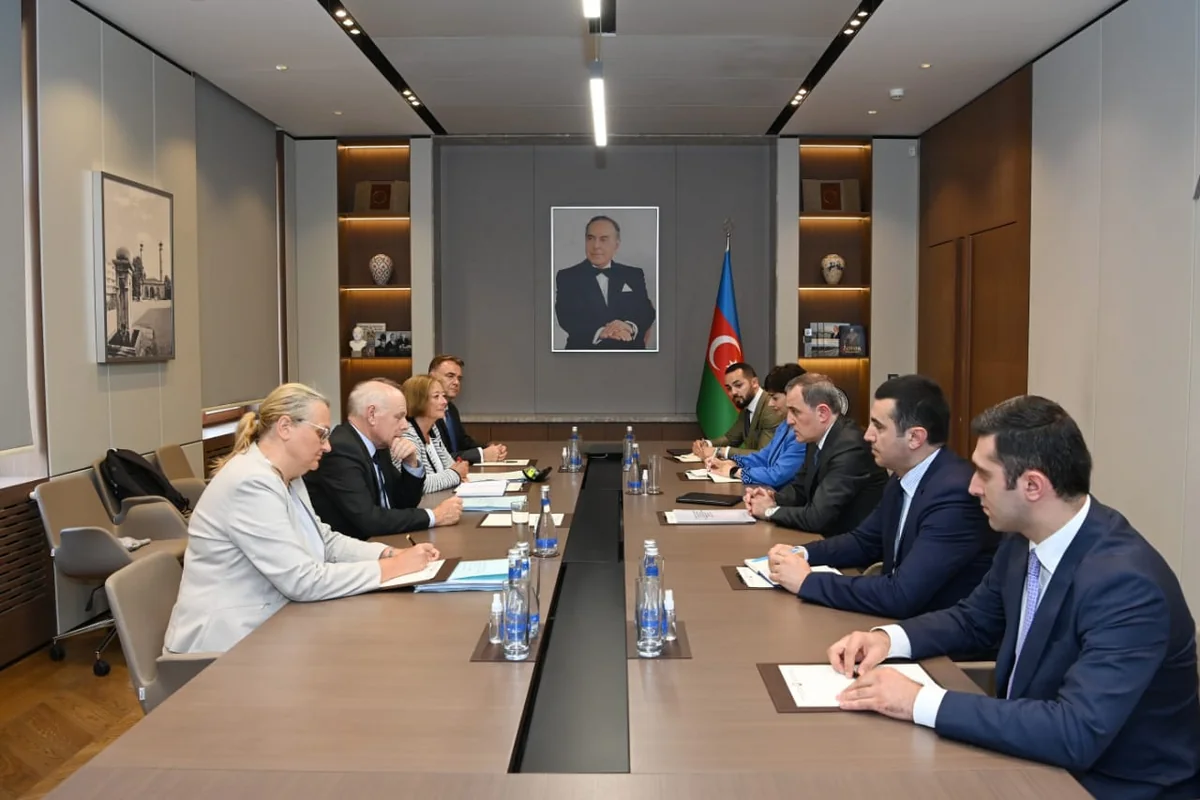 Azerbaijani FM, PACE co-rapporteurs mull normalization of Baku-Yerevan relations