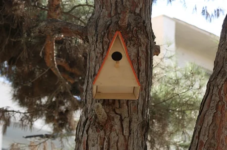 Bakıda daha bir həyət abadlaşdırılıb