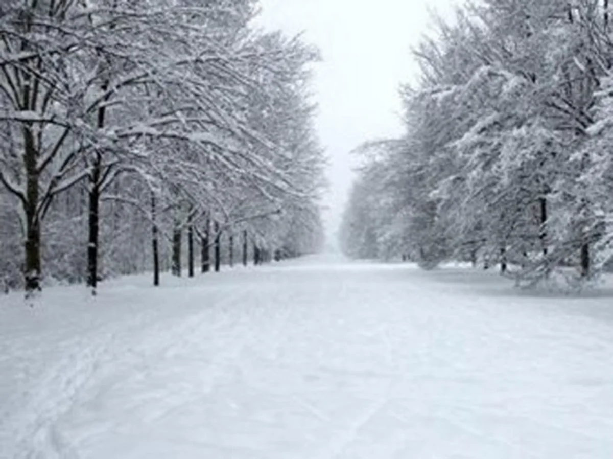 Actual weather terms in Azerbaijan announced
