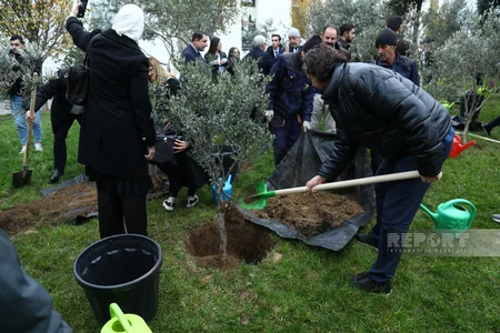 International conference participants in Baku plant trees in Zira Ecopark