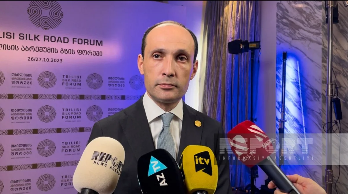 Vice Prime Minister: Azerbaijan is the most important partner for Georgia 