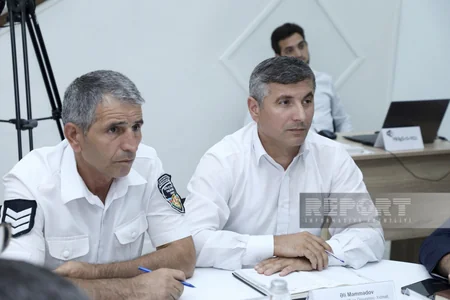 Bəzi ərazilərdə yaşıllıqların və quruyan tinglərin götürülməsi müzakirə olunub