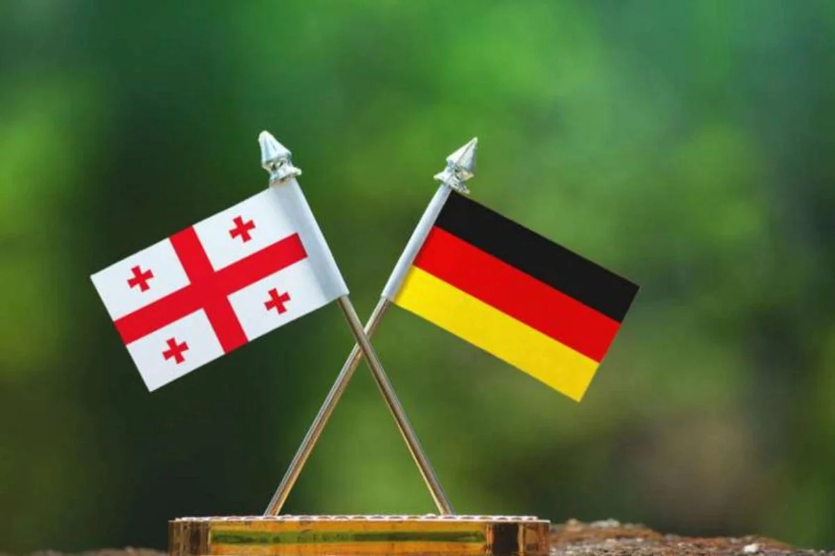 Germany halts cooperation in education with Georgia