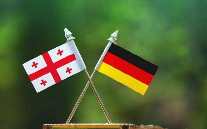 Germany halts cooperation in education with Georgia
