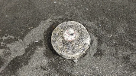 Lənkəranda 2 ədəd tank əleyhinə mina tapılıb