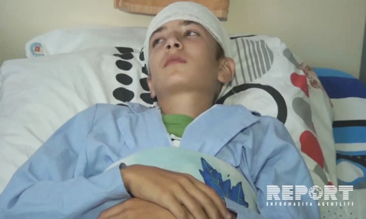 Azərbaycanda canavarlar DSX-nın hərbçisinə hücum edib - FOTO