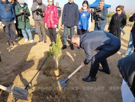 Xocasəndə 2000-dən çox müxtəlif cinsli ağac əkilib