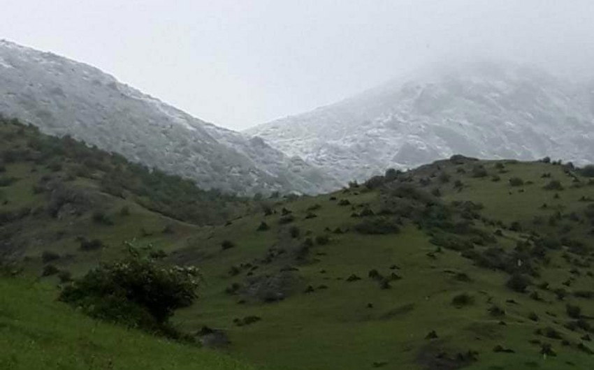 Lerikin dağlıq kəndlərinə qar yağır - FOTO