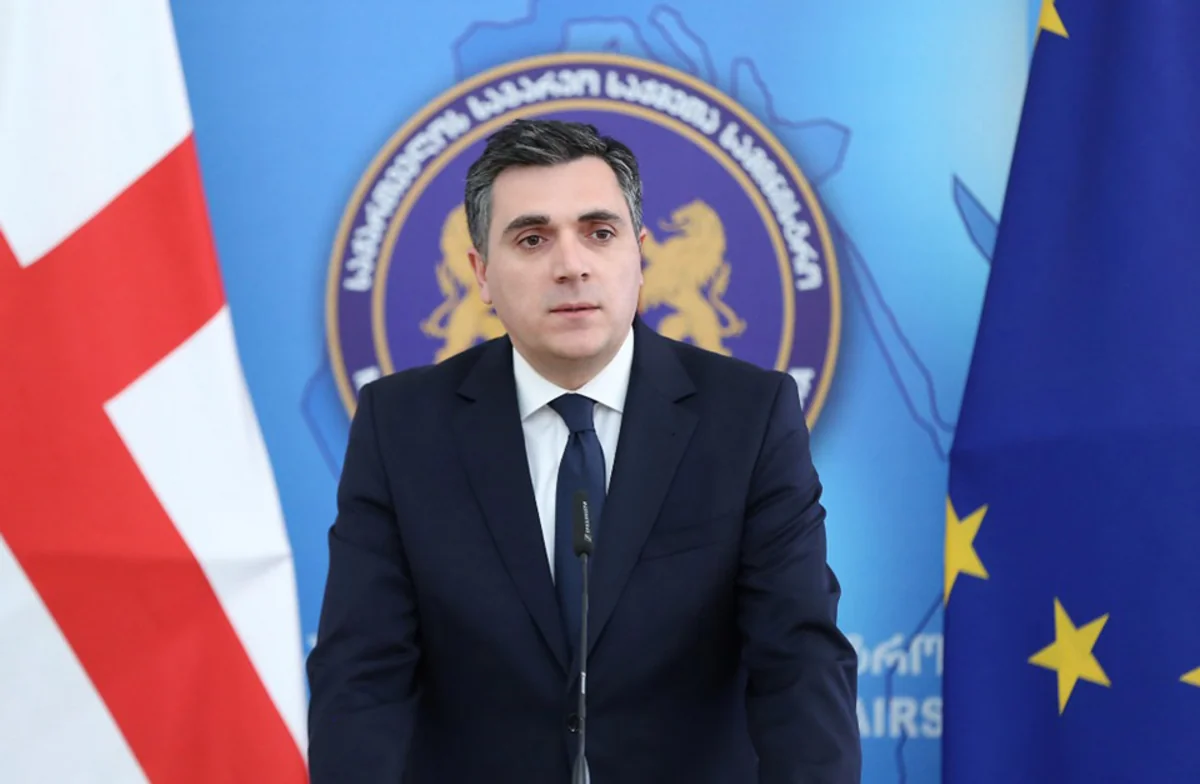 Глава МИД Грузии совершит визит в Венгрию