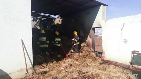 Tovuzda tövlə yanıb, mal-qara tələf olub - FOTO - VİDEO - YENİLƏNİB