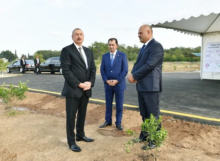 Prezident İlham Əliyev Lənkəranda “Gilan Orchards MMC tərəfindən salınmış sitrus bağları ilə tanış olub