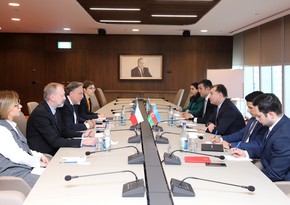 Czech Republic wants to expand cooperation with Azerbaijan in automobile and food industries