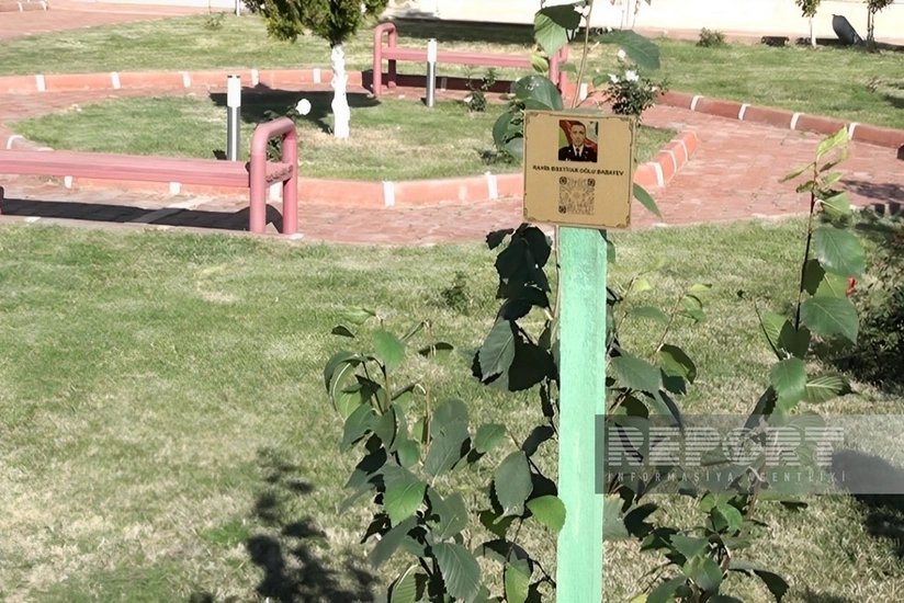 В Нахчыванской АР будут созданы сады памяти шехидов