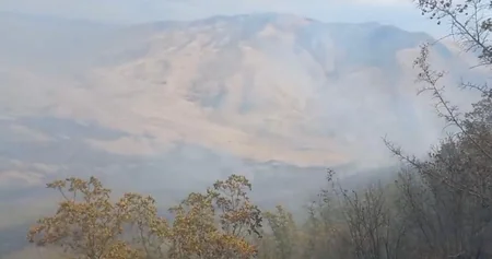 Şamaxıda dağlıq ərazidə yanğın olub