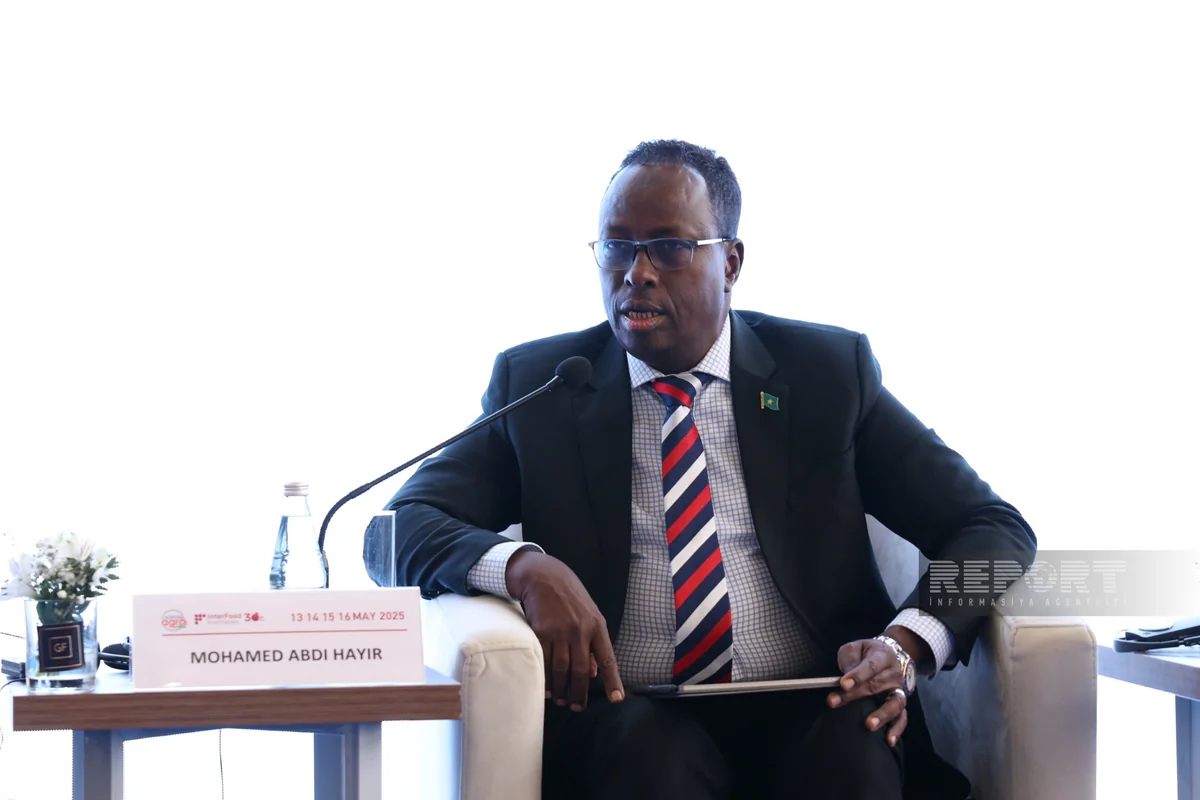 Somali rəsmisi: COP29-un nəticələri qlobal səyləri gücləndirəcək