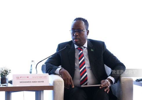 Somali rəsmisi: "COP29-un nəticələri qlobal səyləri gücləndirəcək"