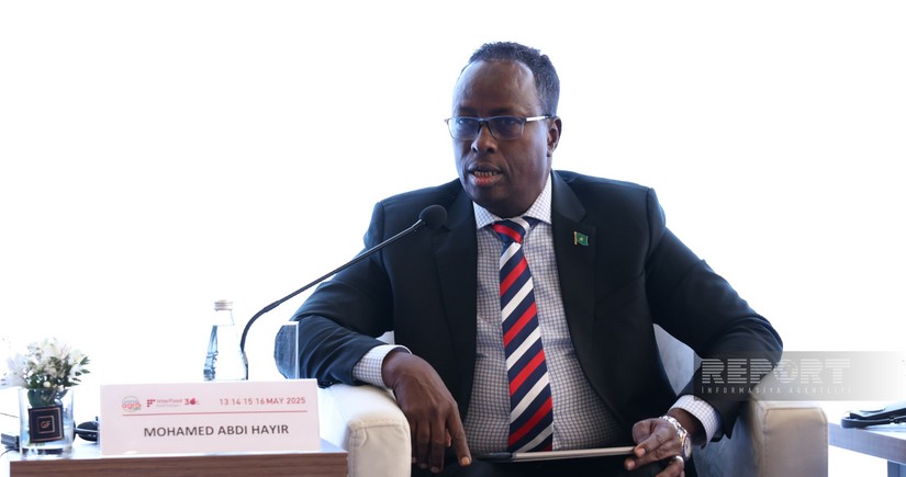 Somali rəsmisi: COP29-un nəticələri qlobal səyləri gücləndirəcək