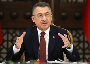 Fuat Oktay: Turkiye's fight against terrorists is for security of world