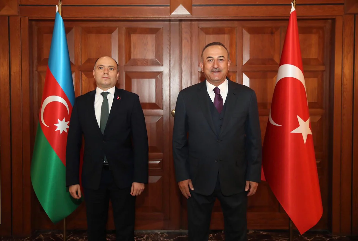 Turkish FM meets with Anar Karimov
