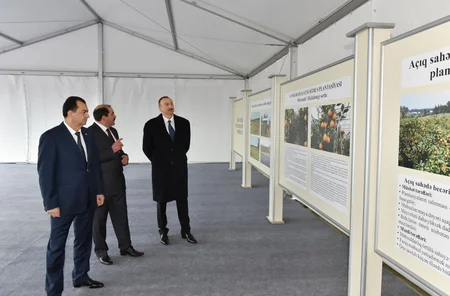 Azərbaycan prezidenti ​Lənkəranda bir sıra obyektlərdə yaradılan şəraitlə tanış olub - YENİLƏNİB