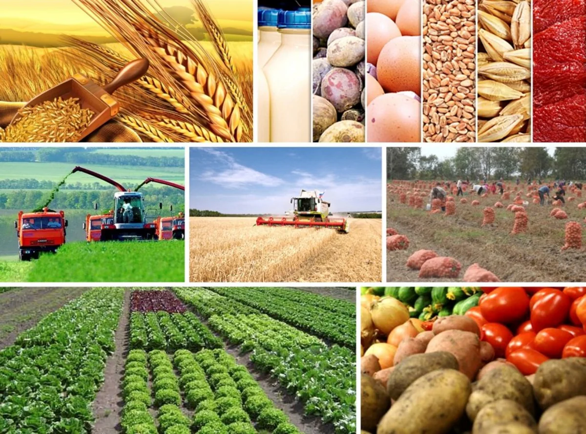 Ağdaşda yeni istehsal kooperativi yaradılıb