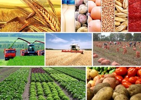 Ağdaşda yeni istehsal kooperativi yaradılıb