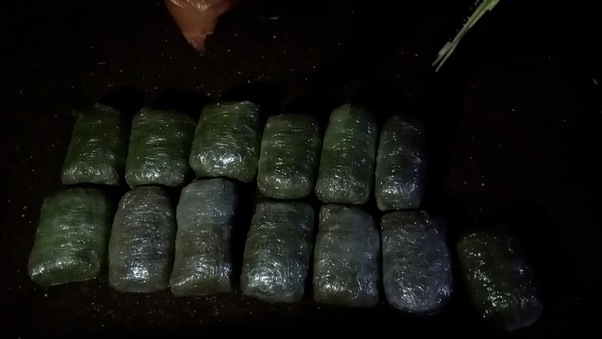 Yasamalda 25 kq heroin və marixuana dövriyyədən çıxarılıb