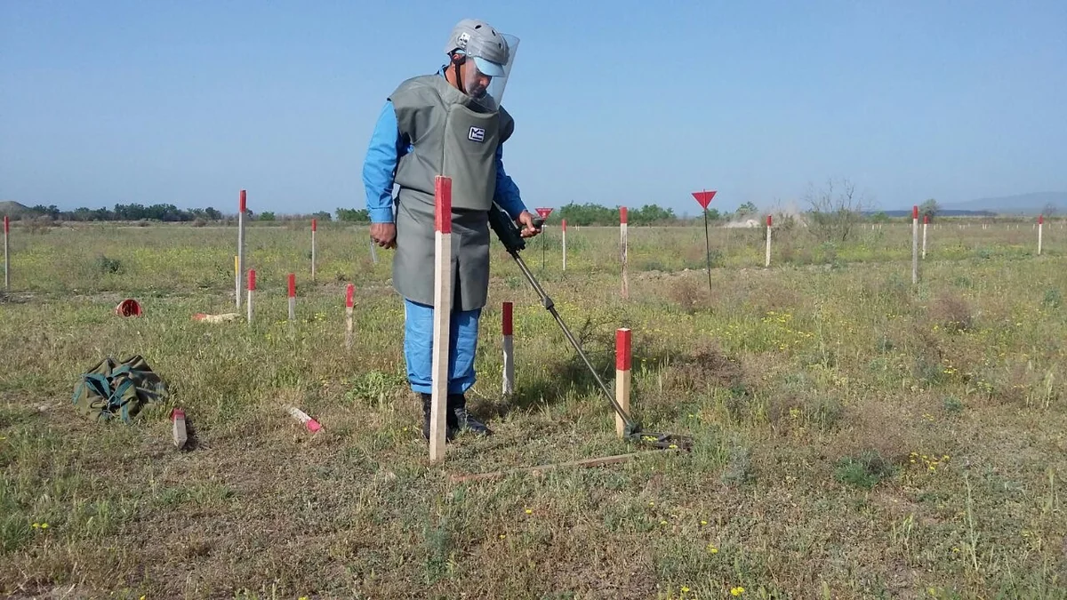 Cocuq Mərcanlıda 1 351 ədəd qəlpə aşkar edilib