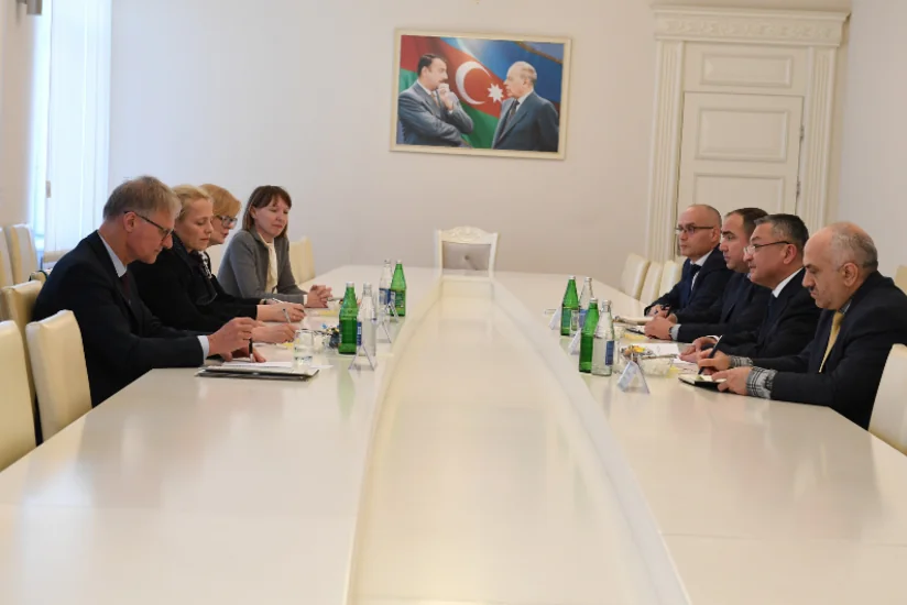 Almaniya hökuməti məcburi köçkünlərlə bağlı layihələrə dəstək verəcək