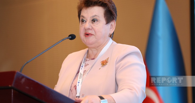 Ali audit sahəsində rəqəmsal Dayanıqlı İnkişaf Məqsədləri paneli hazırlanıb