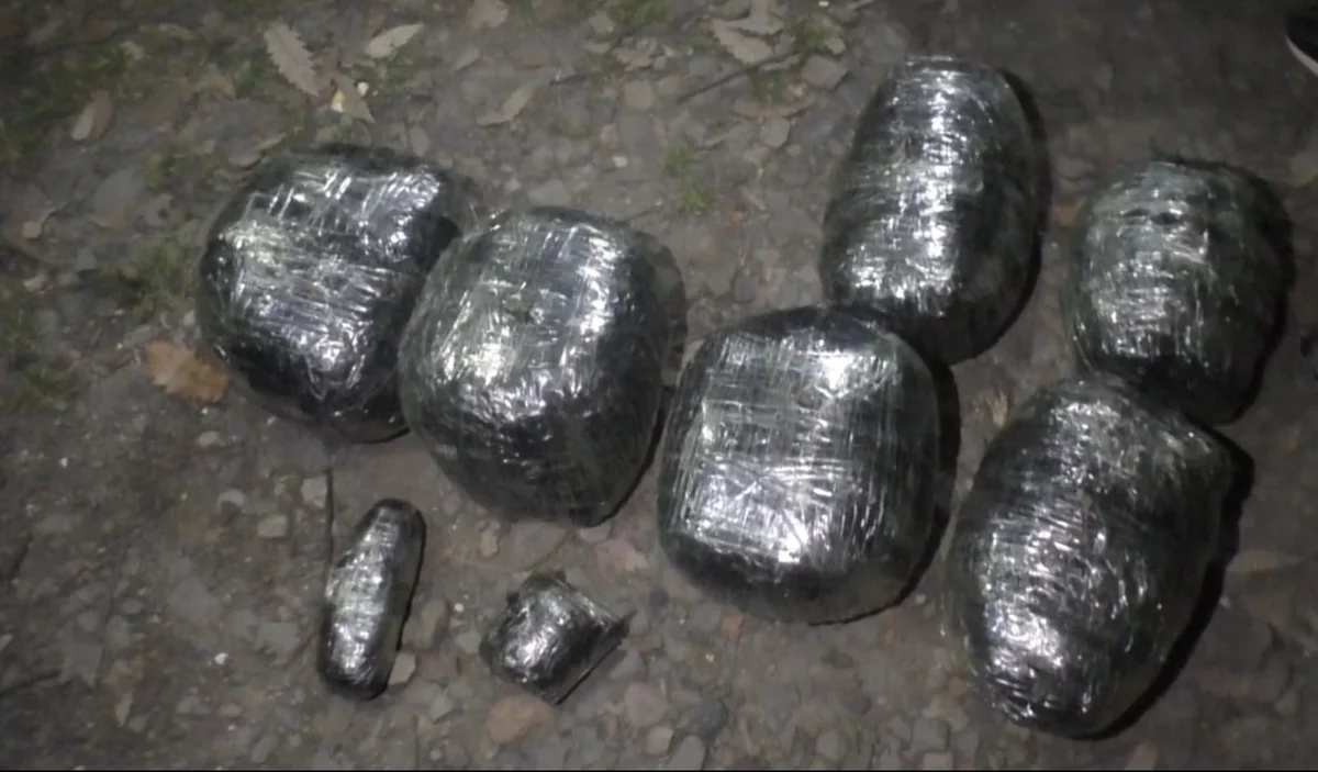 Masallı sakinindən 10 kiloqram narkotik vasitə aşkarlanıb