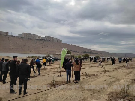 Bakıda Beynəlxalq Bitki Sağlamlığı Günü münasibətilə ağacəkmə aksiyası keçirilib