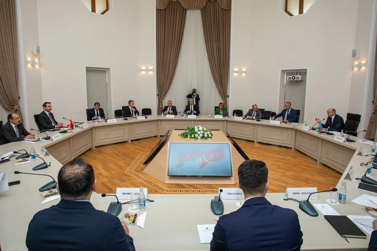 Azerbaijan, Türkiye discuss activities for building green energy bridge