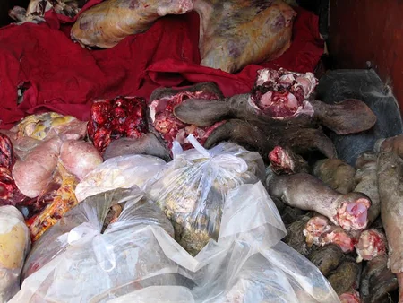 Bakıda 1 tondan çox yararlığı şübhə doğuran mal əti aşkar edilib