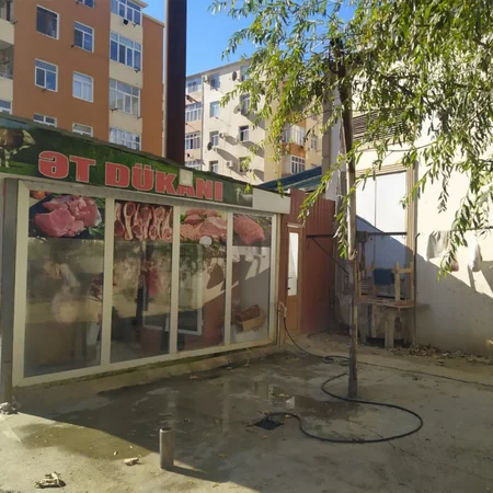 Masazırda qanunsuz heyvan kəsimi məntəqəsi aşkar olunub