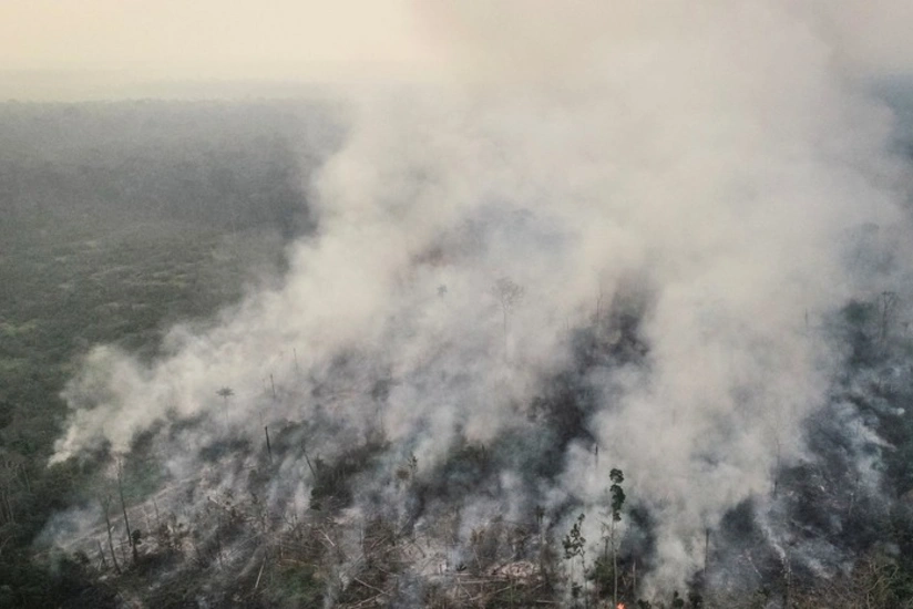 Футбольный матч в Бразилии прервали из-за дыма от горящей Амазонии - ВИДЕО